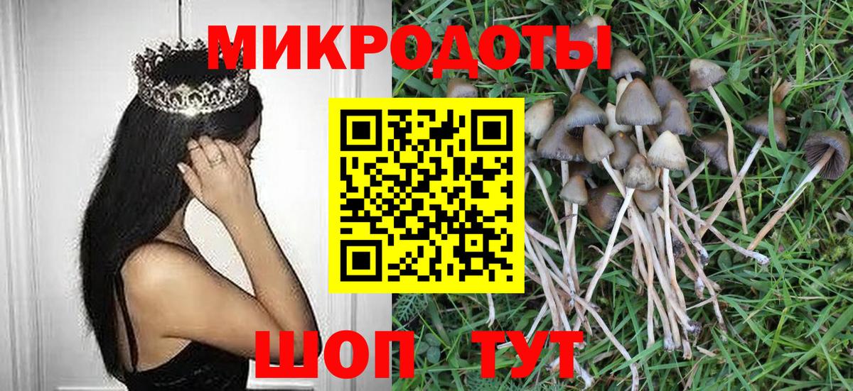 Галлюциногенные грибы MAGIC MUSHROOMS Ялта