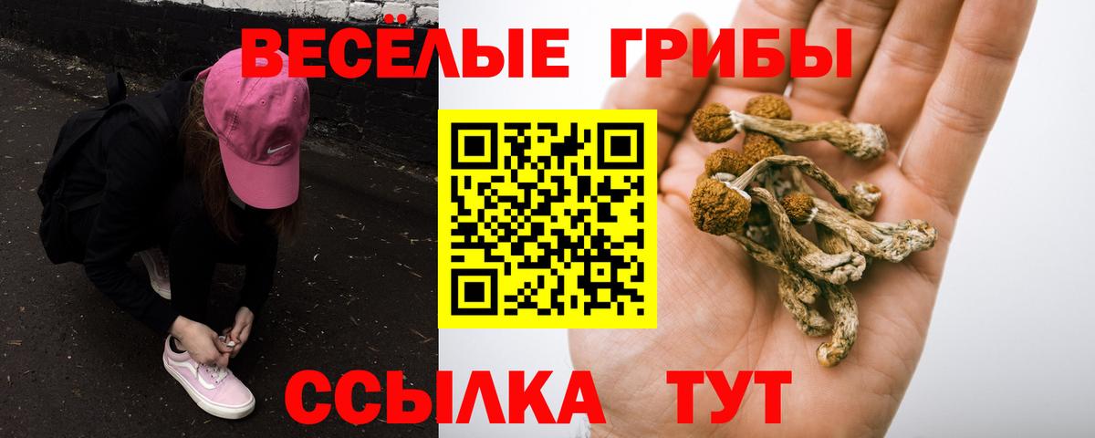 Галлюциногенные грибы Cubensis  Псилоцибиновые грибы Cubensis  закладки  Ялта  Вход с VPN 